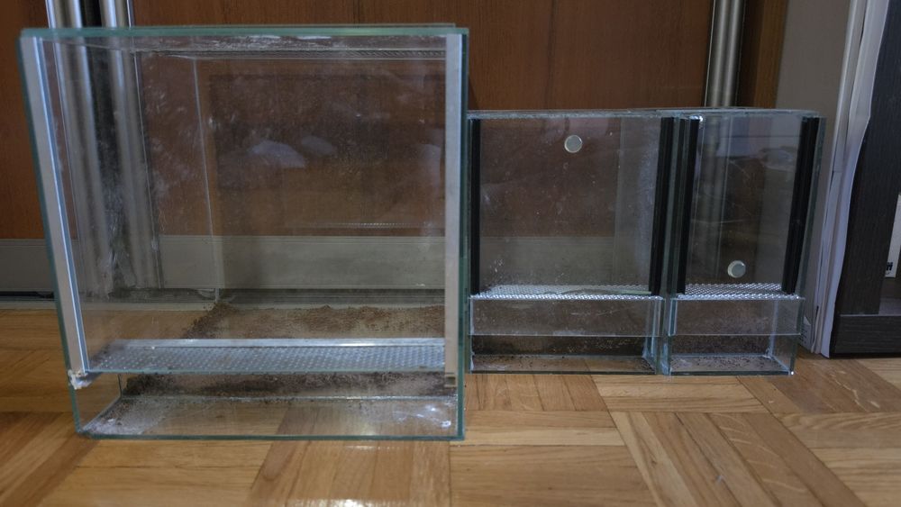 Terrarium używane tanio ptasznik pająk skorpion