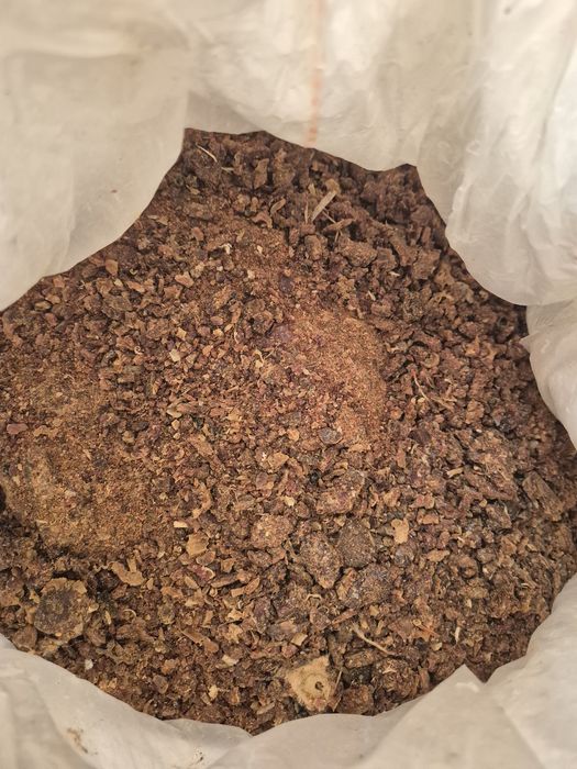 Propolis kit pszczeli skrobany