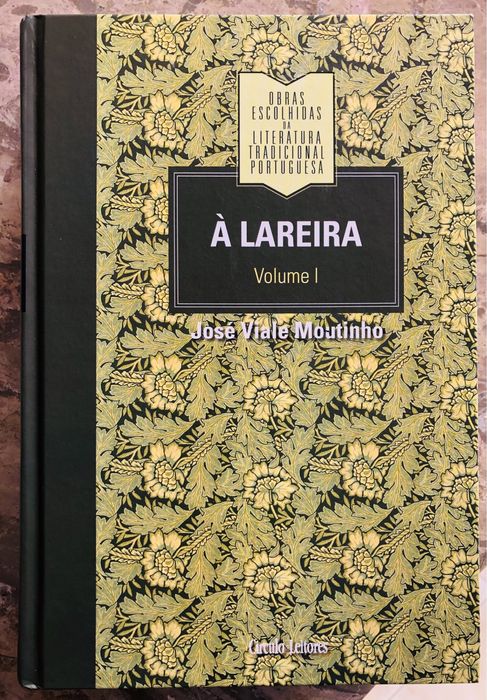 À Lareira - José Viale Moutinho