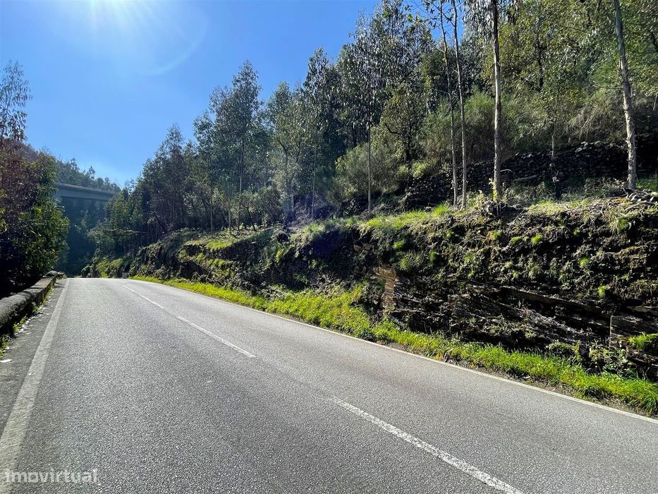 Terreno Florestal