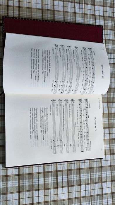 Livro do Salmista ano B e C