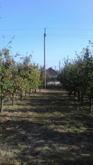 Земельна ділянка.