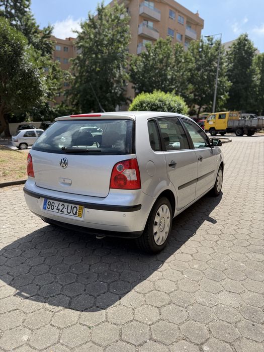 Polo muito bem estimado