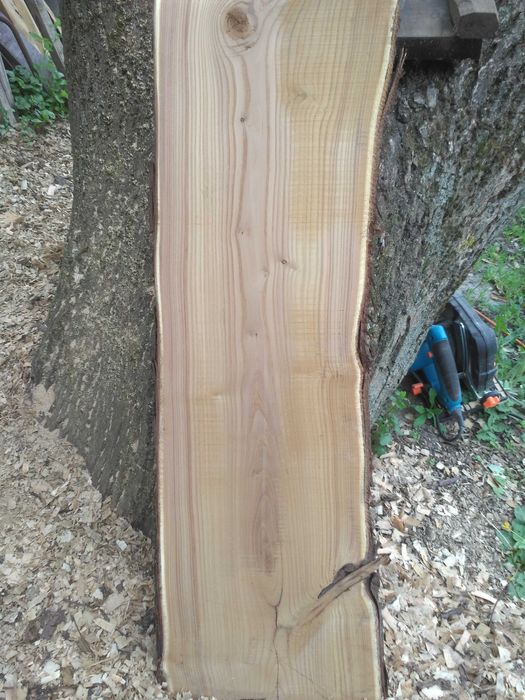 Доска маслины  для декора