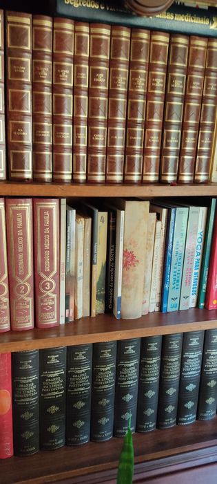 Livros de várias modalidades