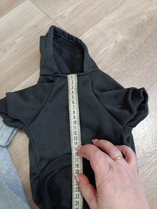 Одяг для чіхуахуа