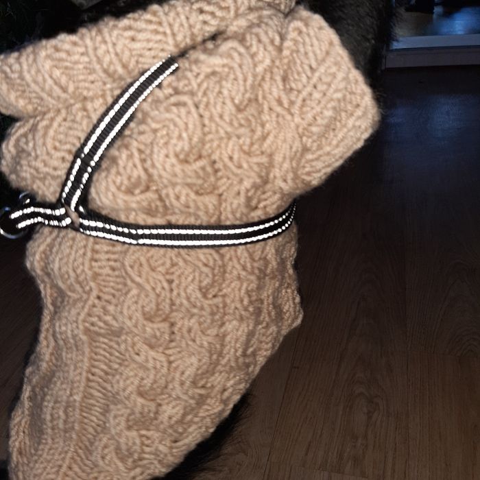 Свитер вязаный для собак