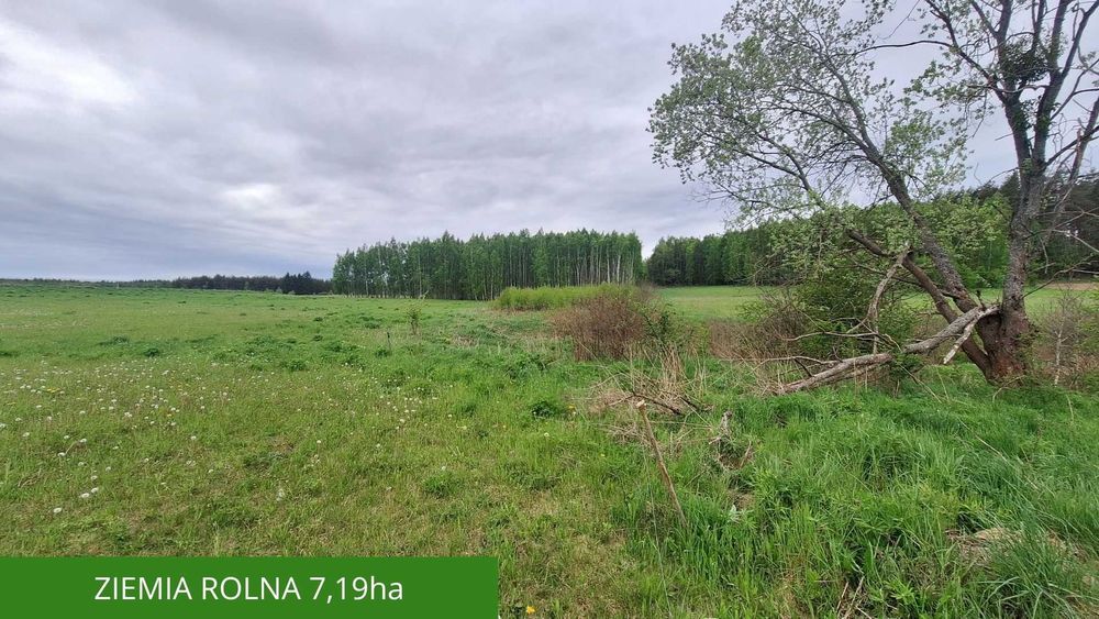 Działki budowlane | Ziemia Rolna | Grom