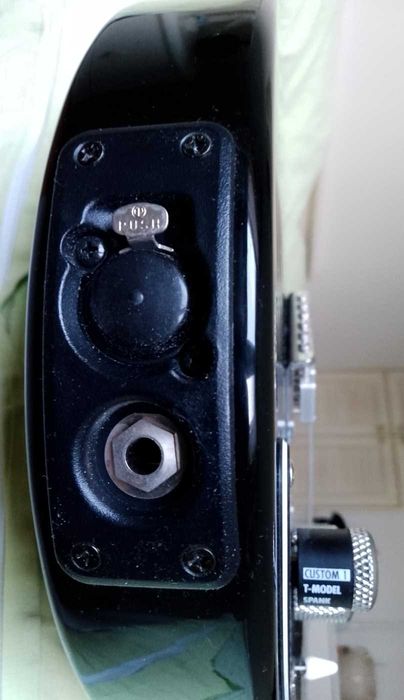 Line 6 Variax 300 - gitara modelowana