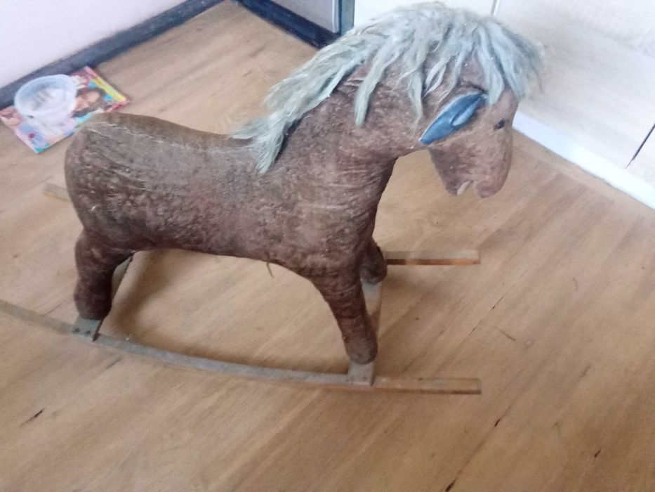 Konik na biegunach