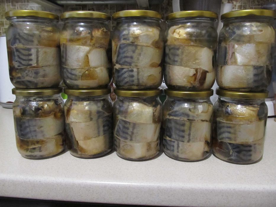 Скумбрія Атлантична Омега-3 у власном соку / томаті | Рибні консерви