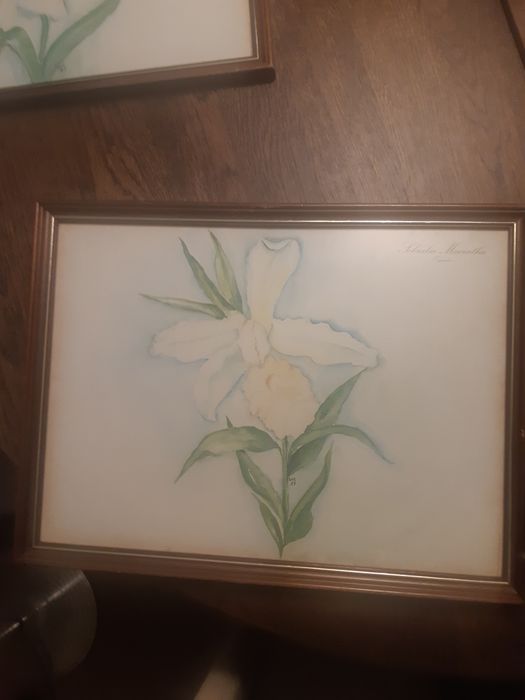 Framed Picture64750945238914121