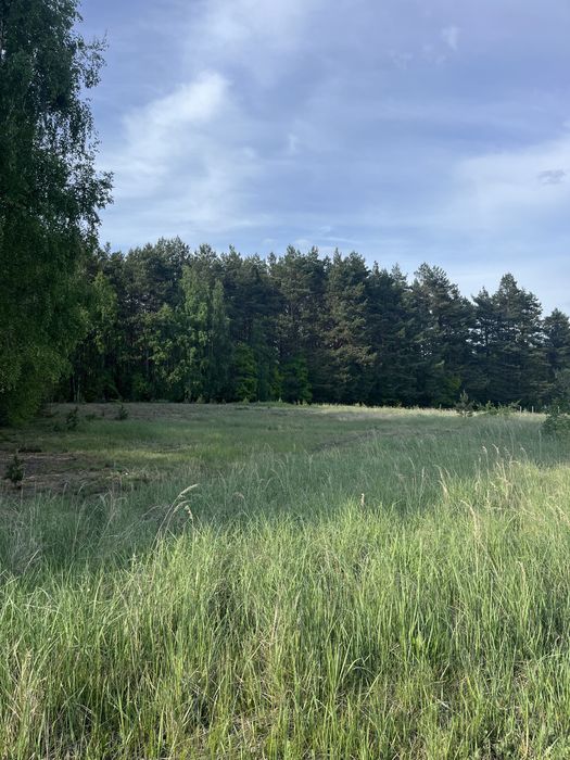 Działka Budowlana Łośno