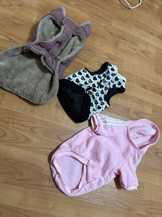 Одежда дл маленькой собачки