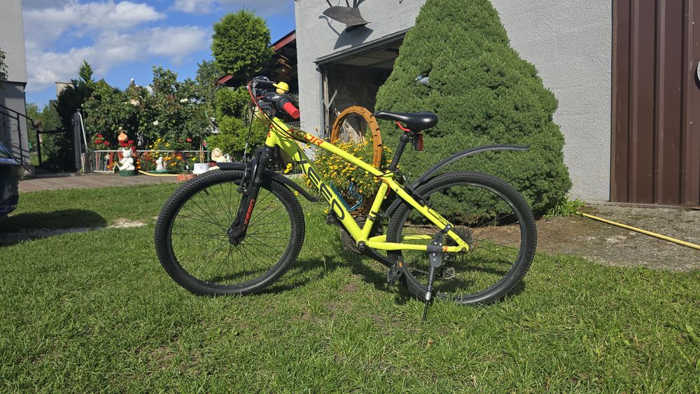 Rower XEED XCJR 24"