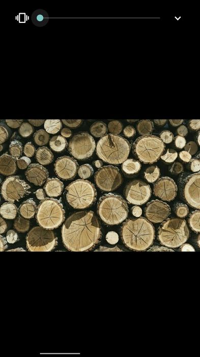 Дрова метровки та рубані твердих порід