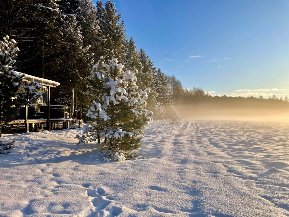 Domek na wynajem w lesie z jacuzzi – Tiny House Bory Tucholskie