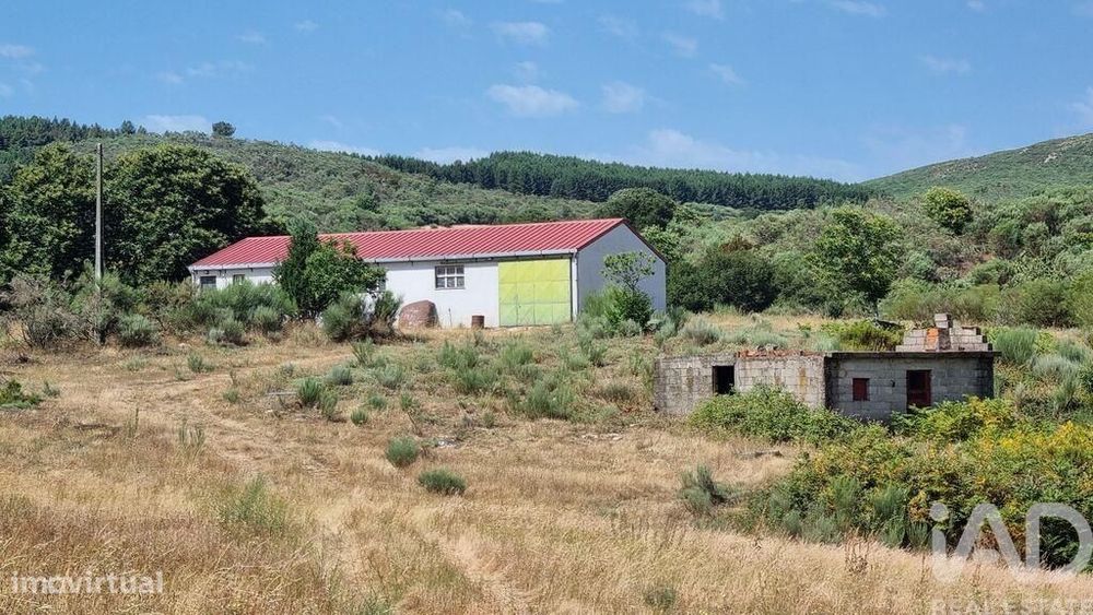 Terreno Agrícola em Prados