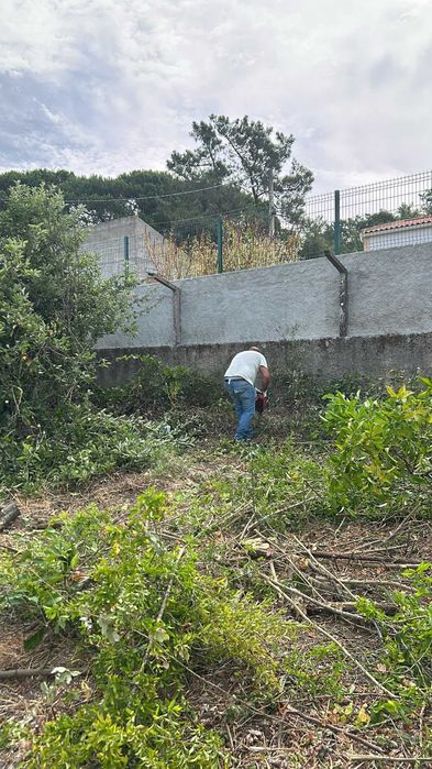 limpeza de terreno