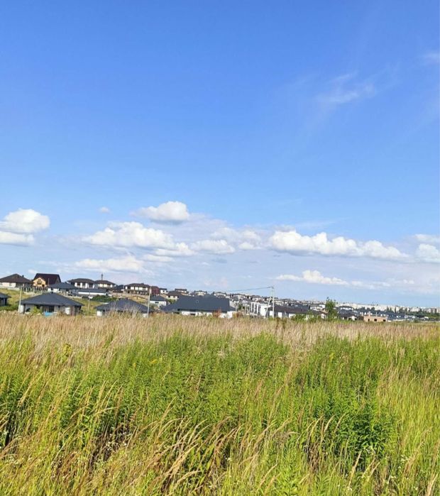 Plot photo