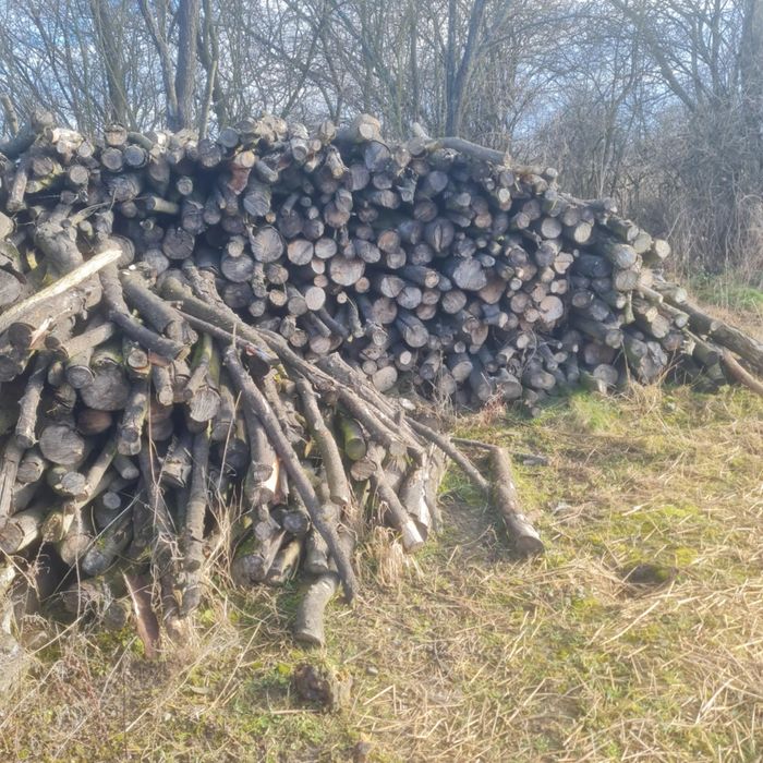 Drewno opałowe - Korczyna / twarde, kaloryczne jak dąb!