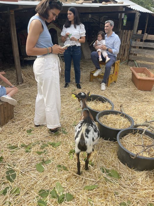 Festas para Crianças em Quinta com Animais