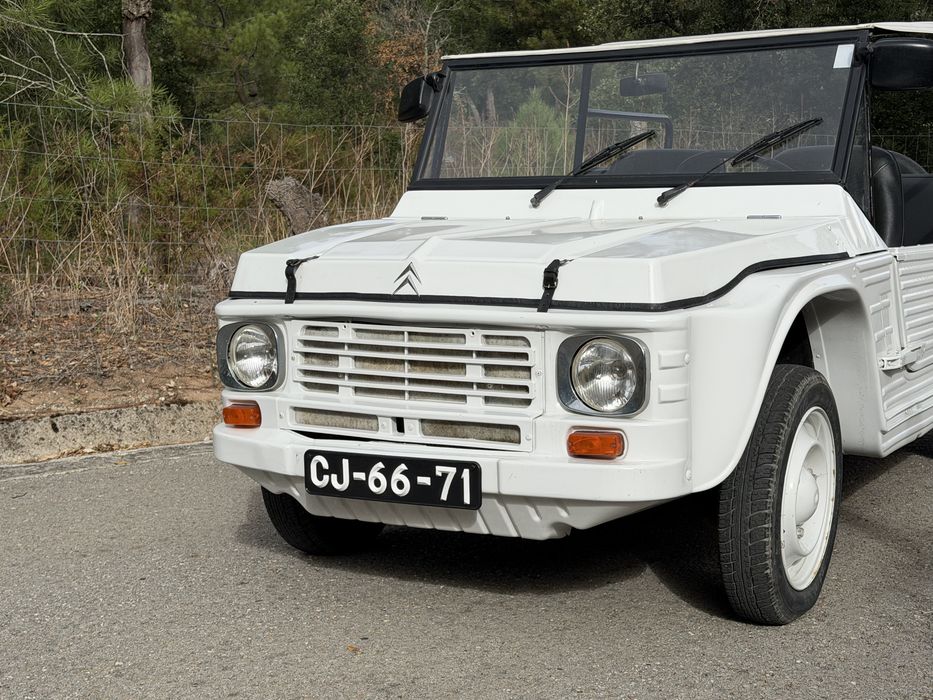 Citroen  Mehari