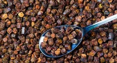 Pierzga Pszczela 1kg naturalna prosto od pszczelarza zbiór 2025r