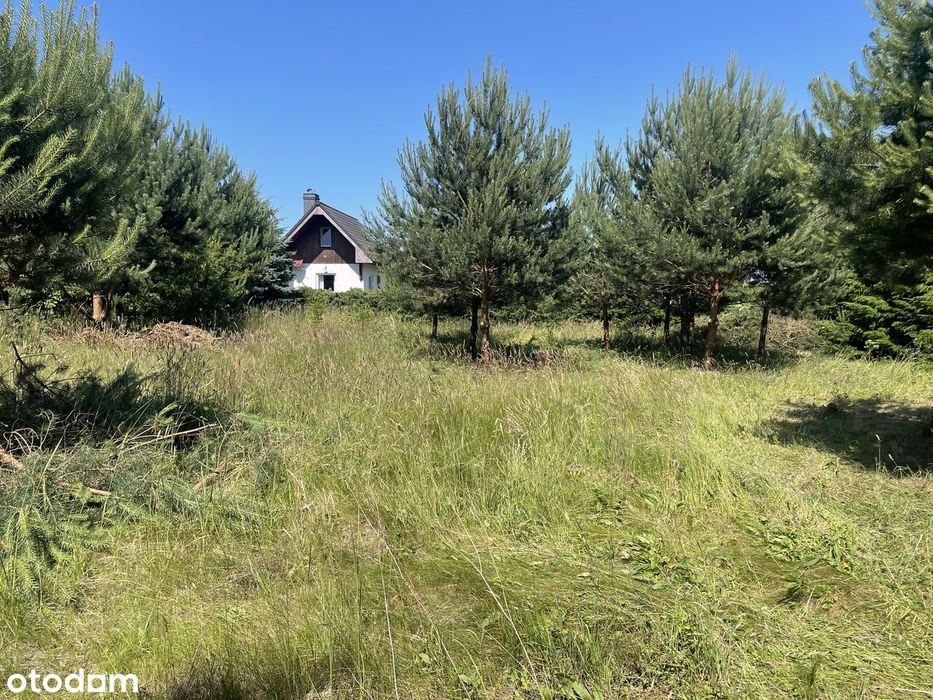 Działka nad morzem