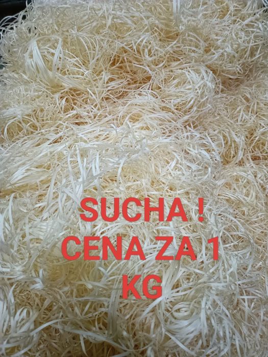 SUCHA  wełna drzewna. Cena za 1 KG