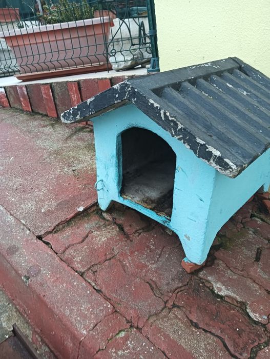 Dou casota  para cão