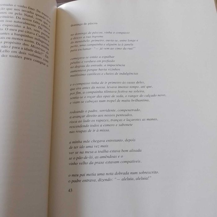 Páginas do Porto (com Treze Desenhos de António Cruz) Autor: Vasco Graça Moura Edições ASA Edição: 1.ª edição 2001