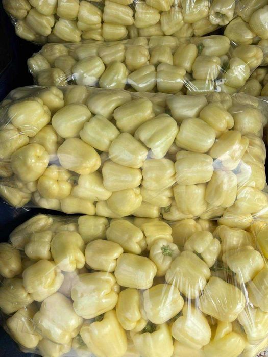 Sprzedaję paprykę żółtą i czerwoną.