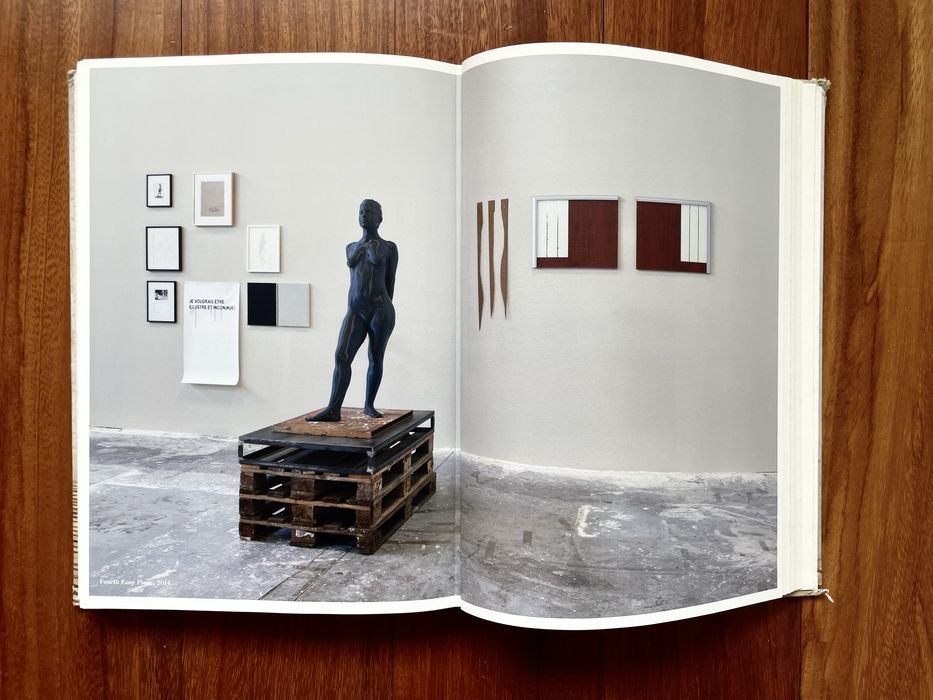 Delfim Sardo - Julião Sarmento: Risco Inerente/Inherent Risk