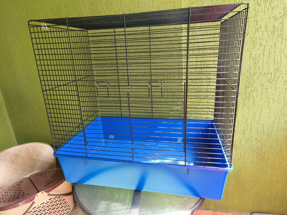 Велика клітка для гризунів природа шиншилка