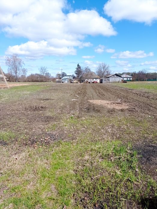 Садиба біля річки Десна. Село Ковчин.