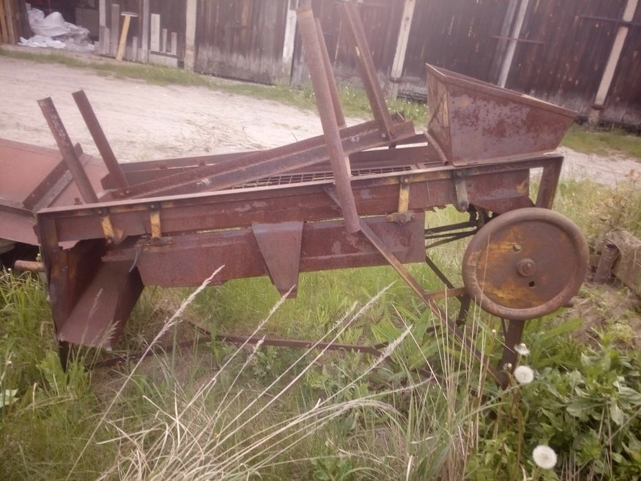 Sortownik do ziemniaków