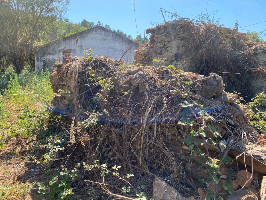 Vendo Quinta 7 hectares 3 Casas Litoral Alentejano