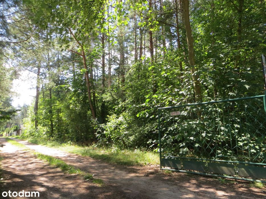 Kamieńczyk nad Bugiem, Suwiec, działka letniskowa