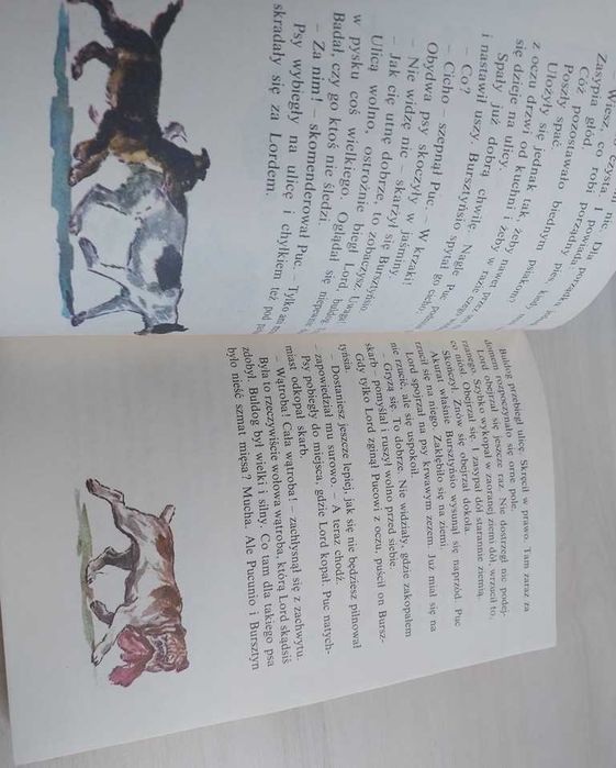 Puc Bursztyn i goście Jan Grabowski świetna książka dla dzieci