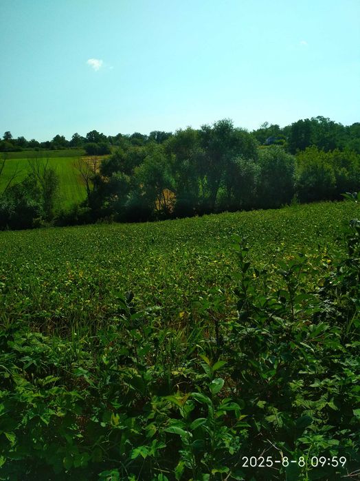 Продається будинок у селі