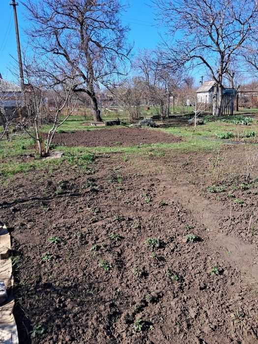 Павлоград продам дачний участок