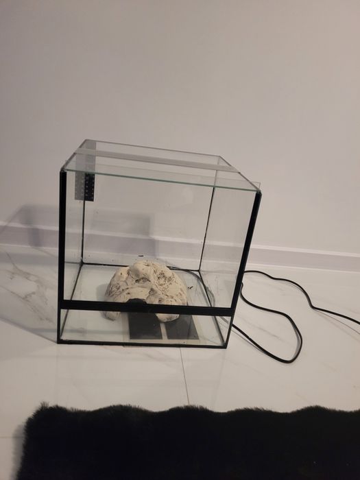 Terrarium 120 zł
