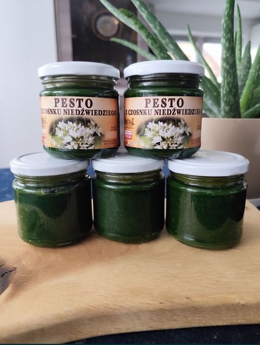 Pesto z czosnku niedźwiedziego 2026r