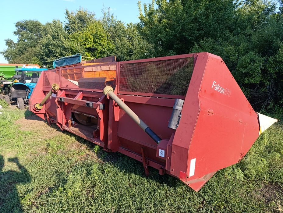 Жниварка соняшникова