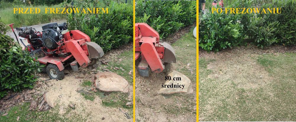 FREZOWANIE PNI DRZEW / KORZENI - Usuwanie Pni, Karp - Frezarka Do Pni