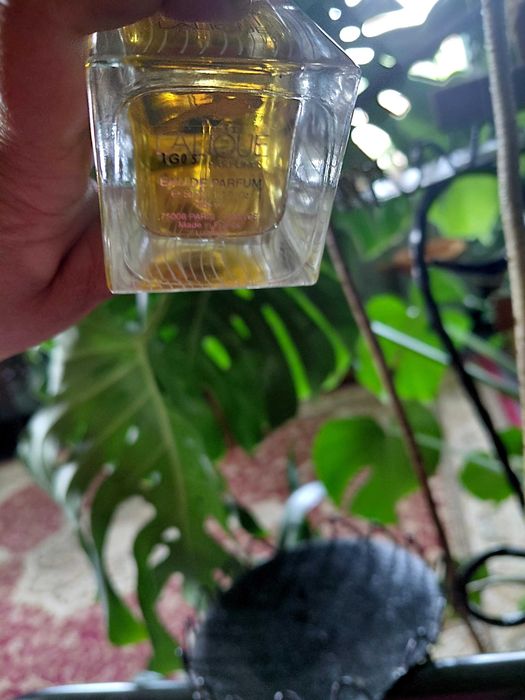 Perfumy lalique nilang , unikat