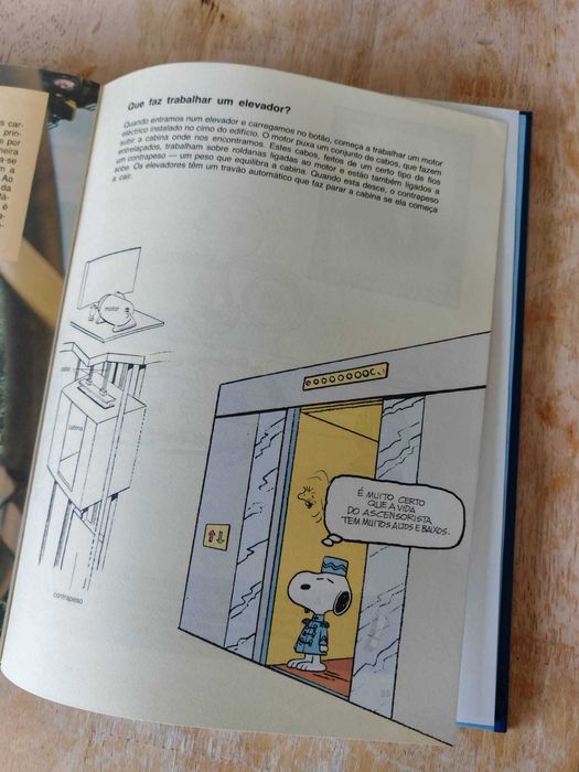 O Grande Livro de Perguntas e Respostas de Charlie Brown 5