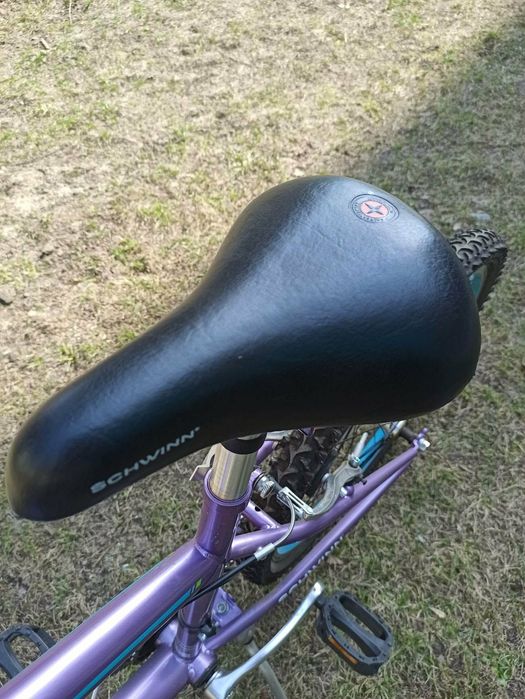 Rower Schwinn z USA