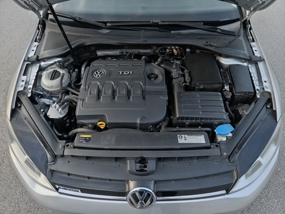VW Golf 1.6 TDI 110cv